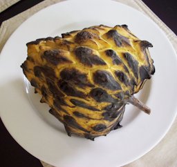 Birib&aacute; - Rollinia deliciosa
