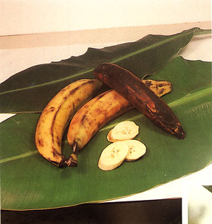 Plate IV: PLANTAIN, Musa &times; paradisiaca