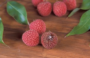 Fruit flies deposit their eggs through the thin skin of a lychee, causing juice to ooze out and stain the surface. But lychee is a poor host, and fruit fly larvae rarely develop in the fruit.