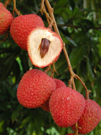 'Sweet Heart'