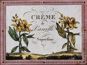 Cr&eacute;me de vanille superfine. A liqueur label illustrated with two vanilla plants (Vanilla planifolia)." Coloured engraving, 19th century