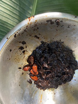 Credit: Edible South Florida Pulp showing seeds
