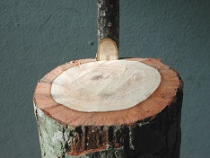Opposite view showing the slant cut