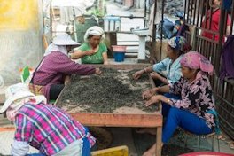 Sorting maocha